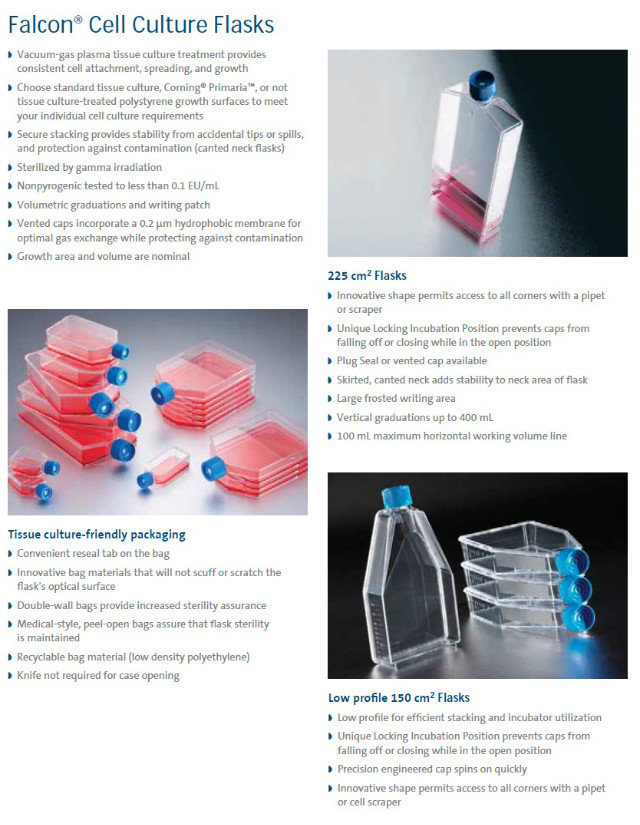 cell culture flasks-1.jpg